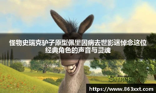非凡国际平台